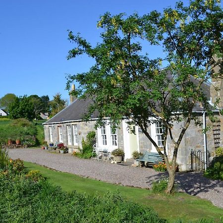 Balmungo Cottage B&B St Andrews Eksteriør bilde