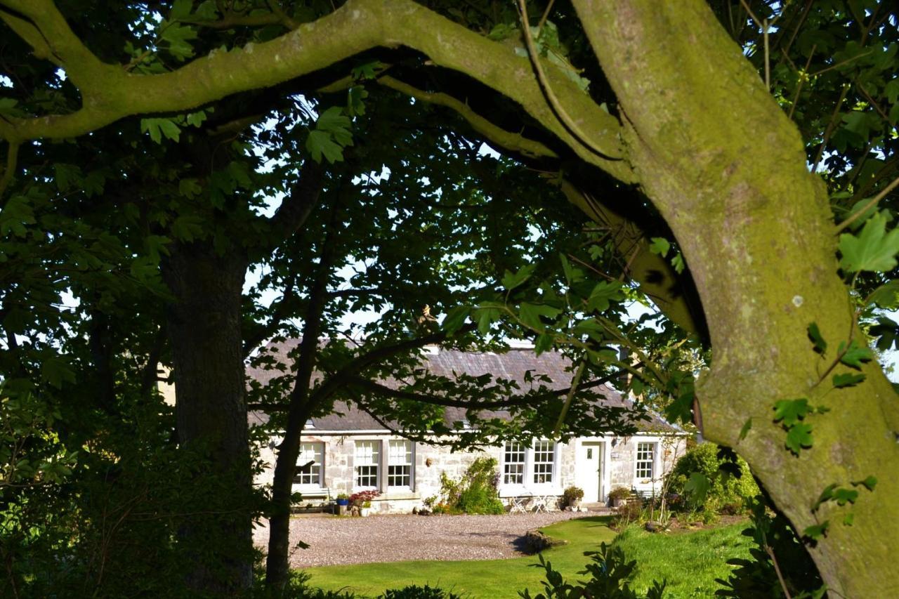 Balmungo Cottage B&B St Andrews Eksteriør bilde