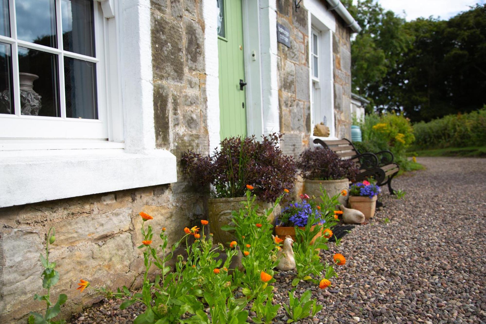 Balmungo Cottage B&B St Andrews Eksteriør bilde