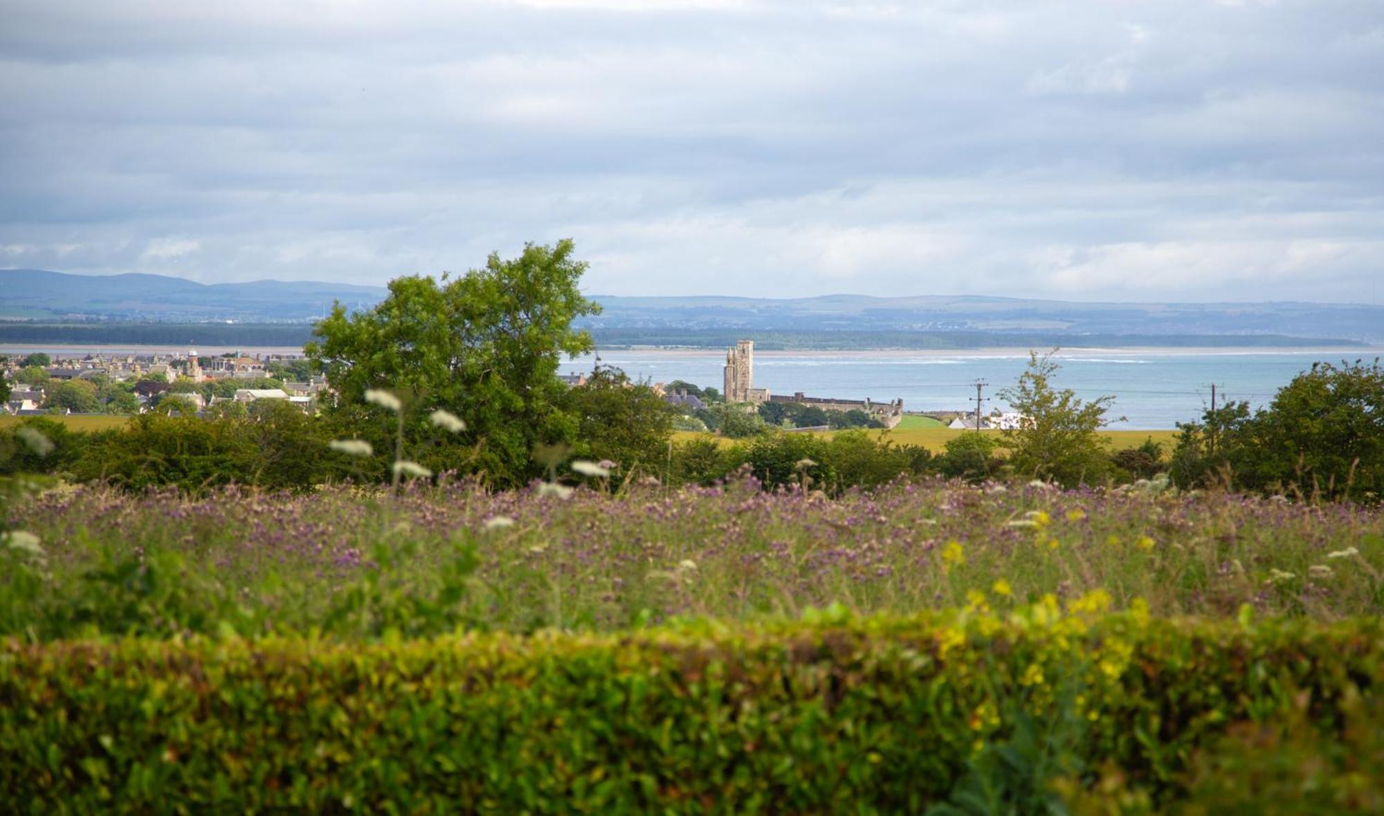 Balmungo Cottage B&B St Andrews Eksteriør bilde