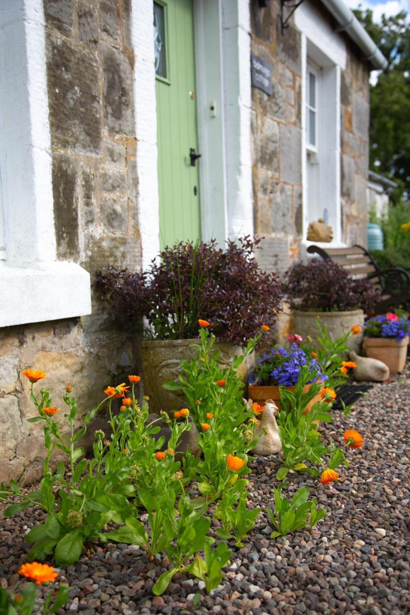 Balmungo Cottage B&B St Andrews Eksteriør bilde