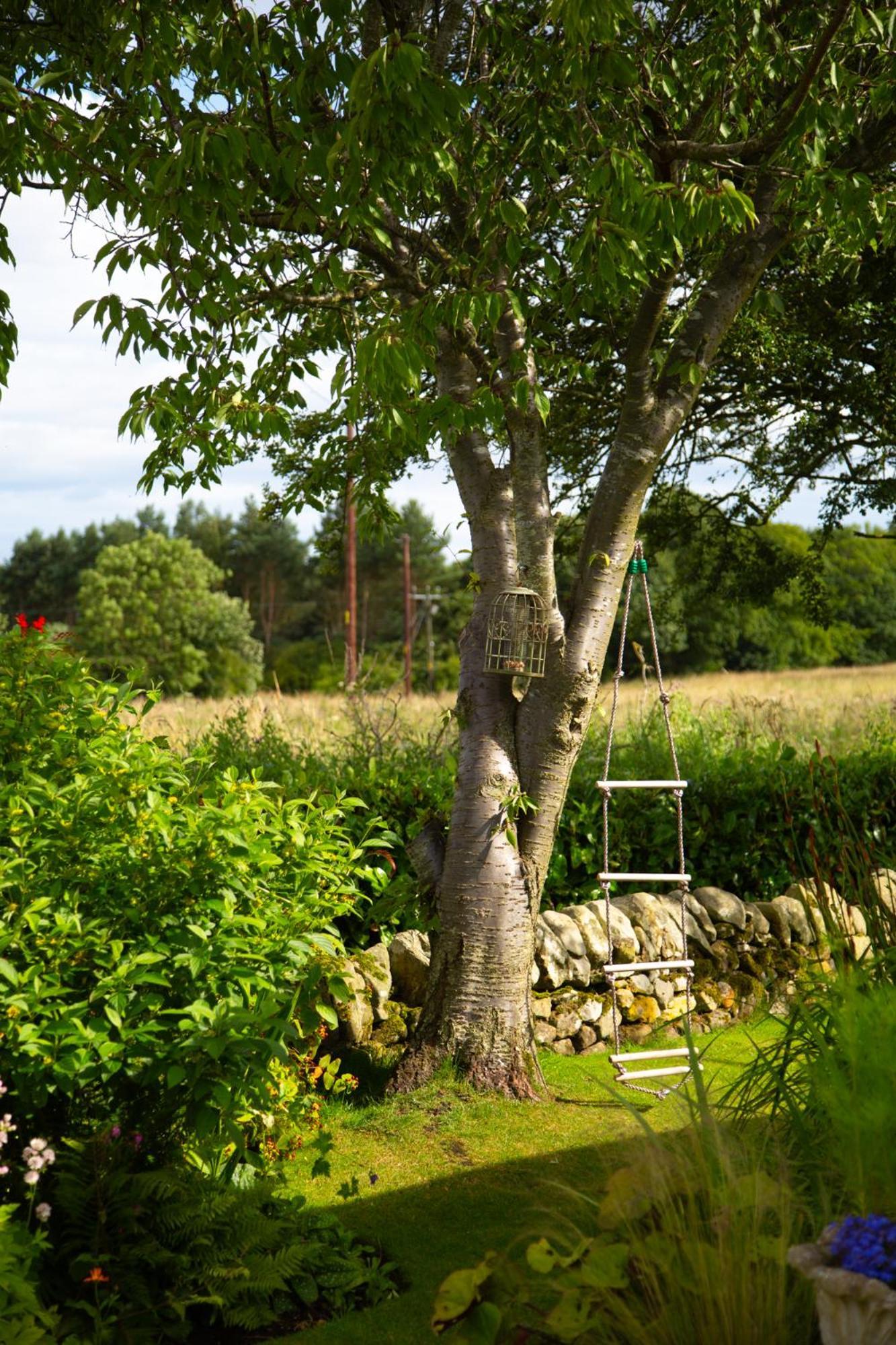 Balmungo Cottage B&B St Andrews Eksteriør bilde