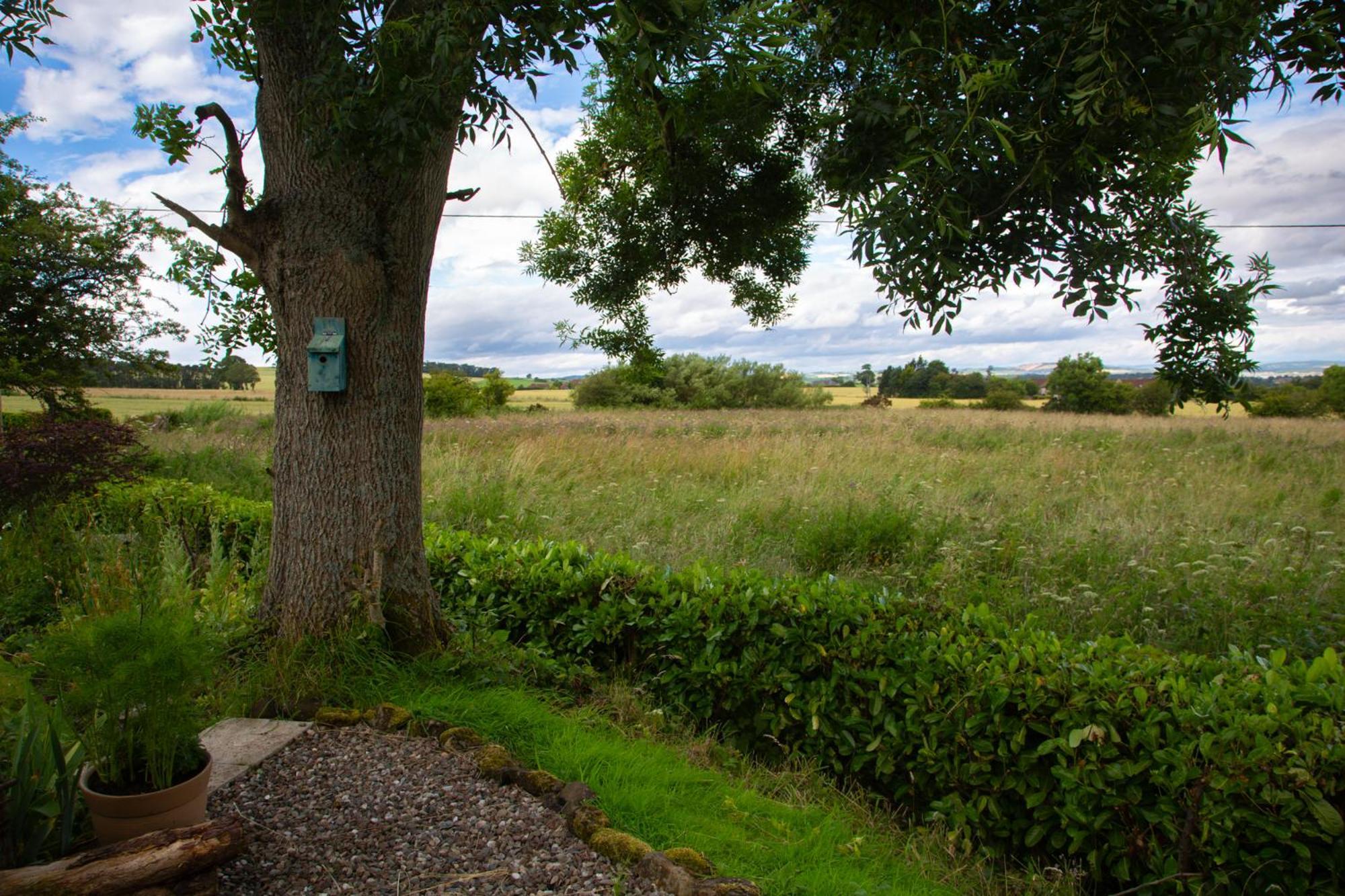 Balmungo Cottage B&B St Andrews Eksteriør bilde