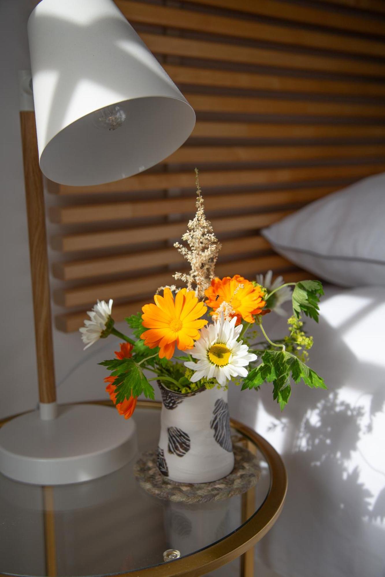 Balmungo Cottage B&B St Andrews Eksteriør bilde