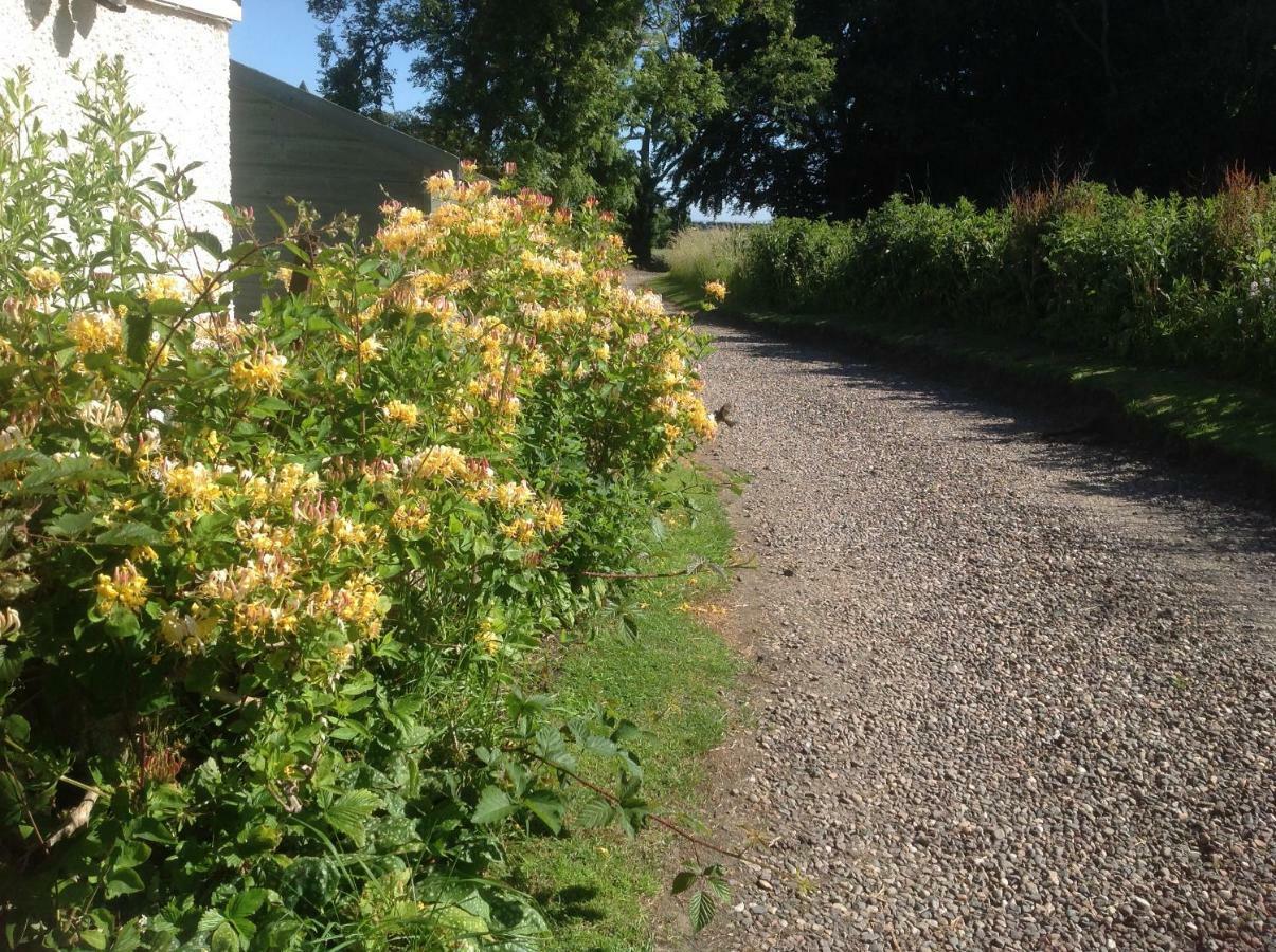 Balmungo Cottage B&B St Andrews Eksteriør bilde