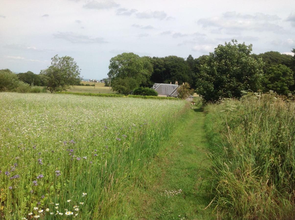 Balmungo Cottage B&B St Andrews Eksteriør bilde